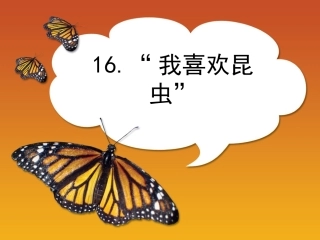 我喜欢昆虫 (2)