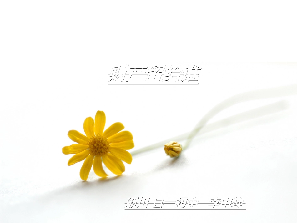《财产留给谁》课件_第1页