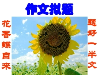 拟题--整理版高中