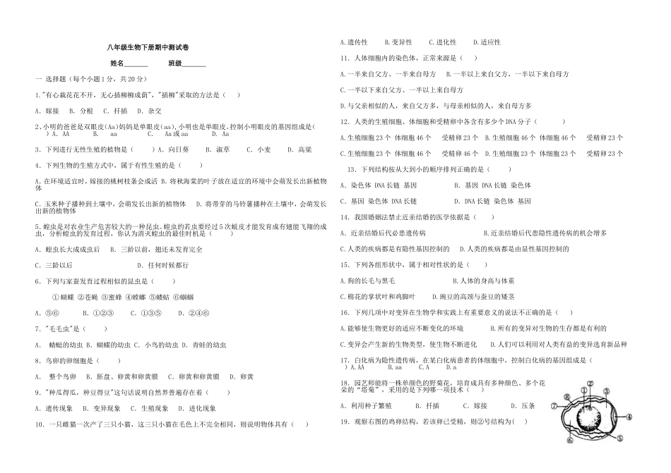 太安八年级生物下册期中测试卷_第1页