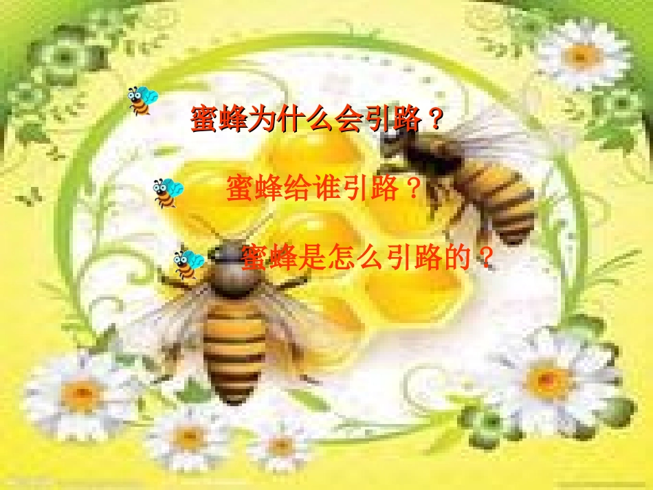 二语下26蜜蜂引路_第2页