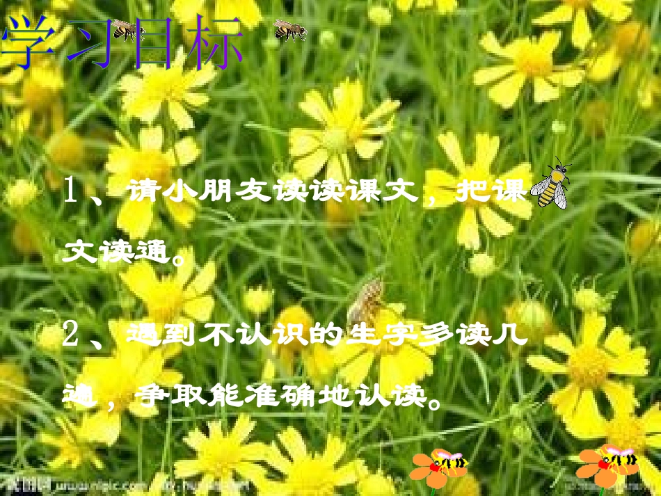 二语下26蜜蜂引路_第3页