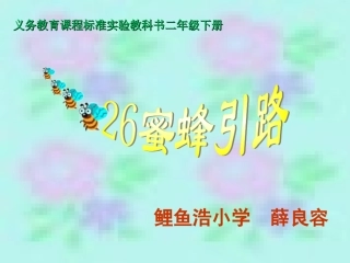 二语下26蜜蜂引路