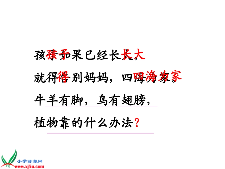 《植物妈妈有办法》课件_第3页