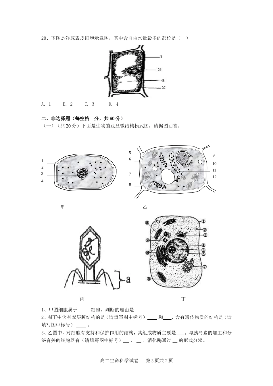 2011学年度第一学期期中试卷_第3页