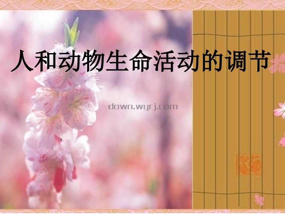 人体的内环境与稳态_第1页