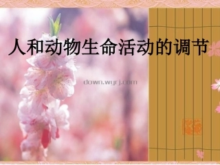 人体的内环境与稳态