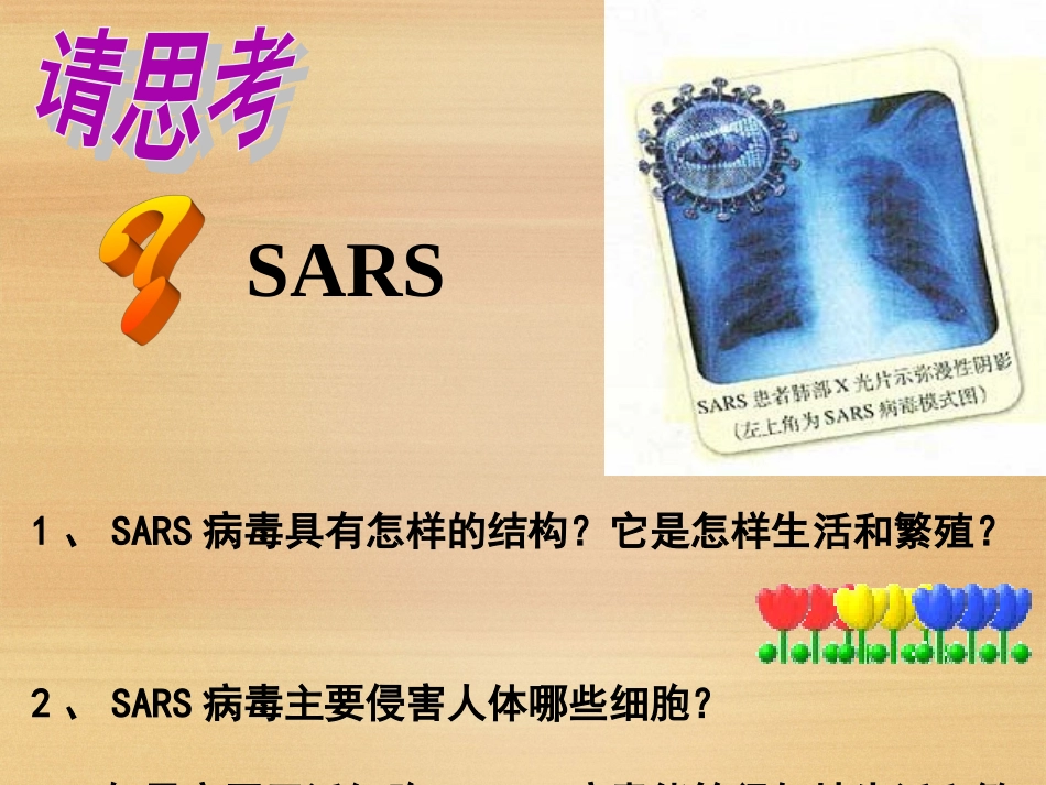 《从生物圈到细胞》课件（2）_第2页