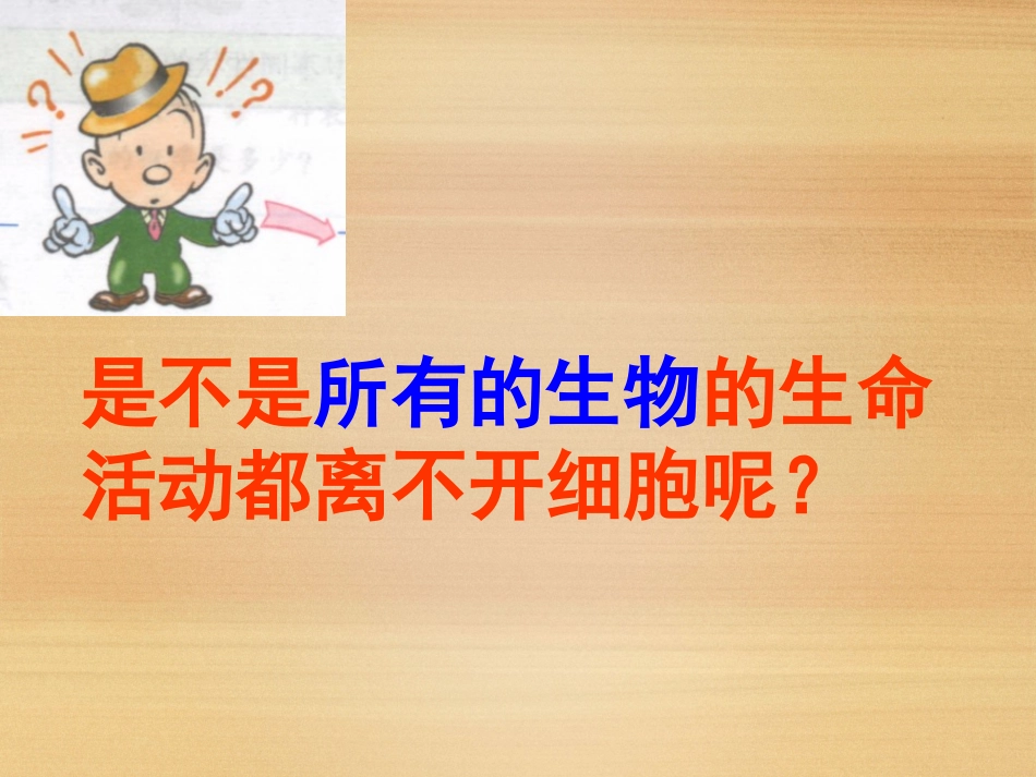 《从生物圈到细胞》课件（2）_第3页