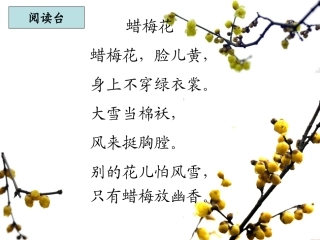 春到梅花山 (3)