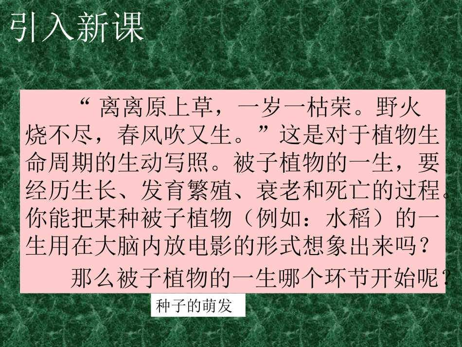 种子的萌发课件3_第2页