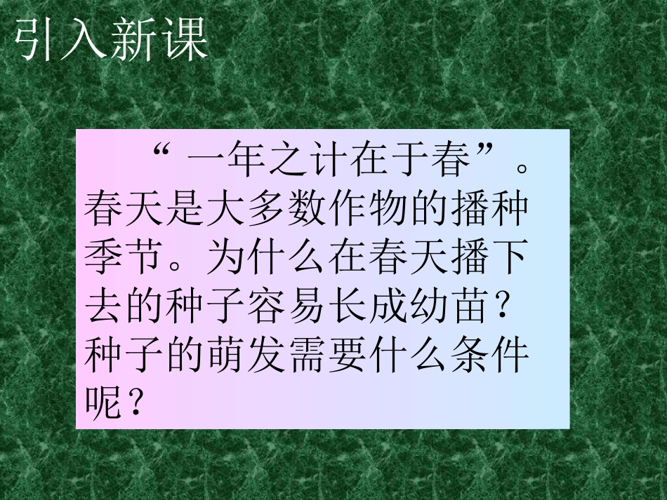 种子的萌发课件3_第3页