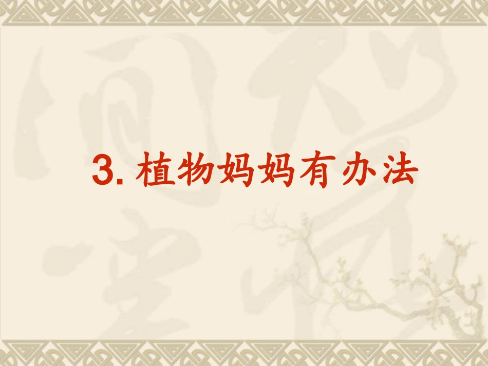 植物妈妈有办法尚景丽_第1页