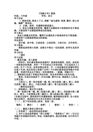 《顶碗少年》教案