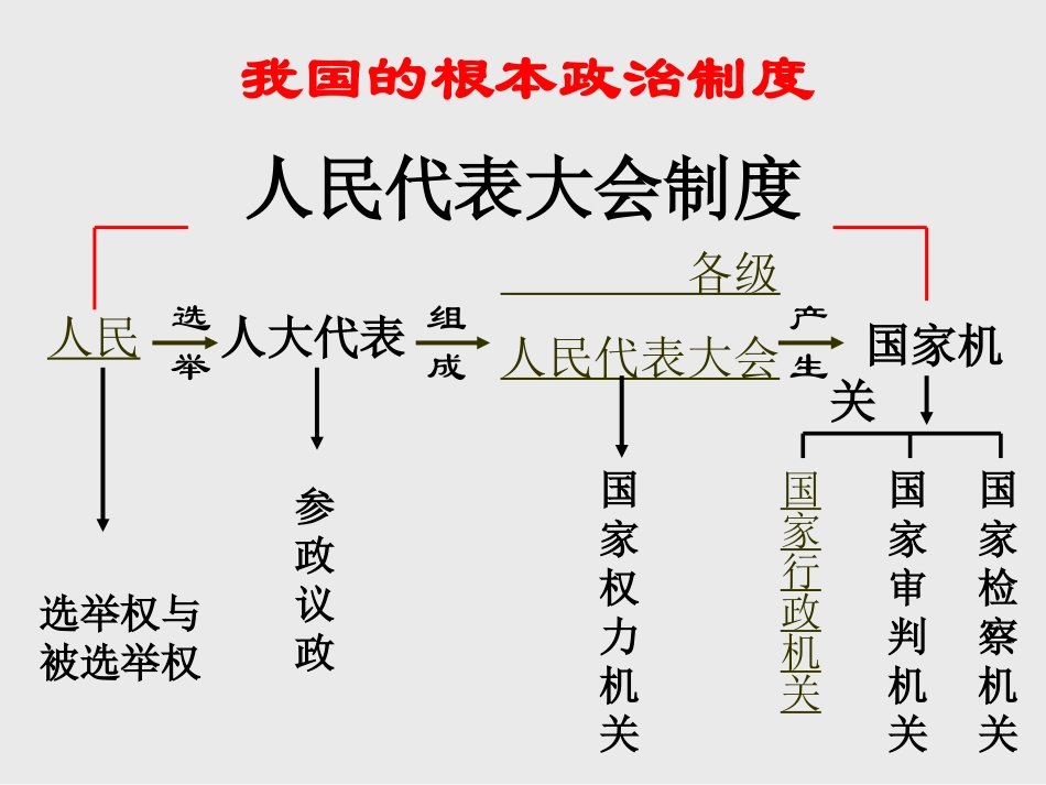 人教版九年级政治人民当家做主的法治国家_第3页