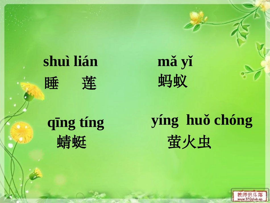 夏夜多美课件_第2页