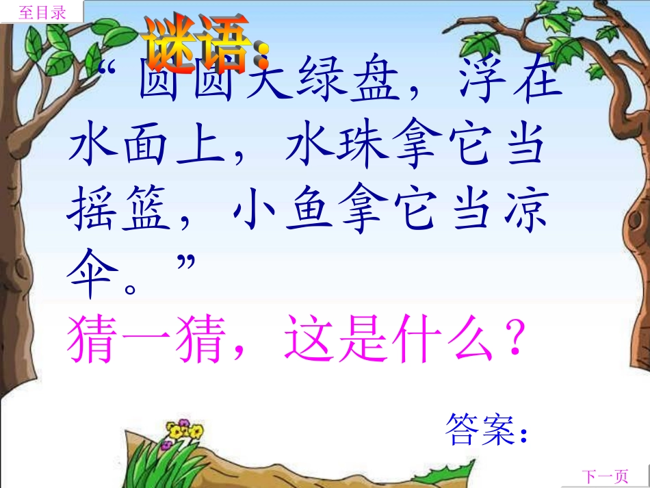 荷叶圆圆课件课件_第1页