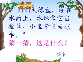 荷叶圆圆课件课件