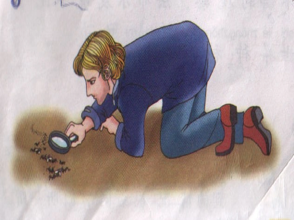 《法布尔观察昆虫》参考课件_第2页