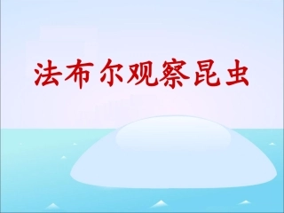 《法布尔观察昆虫》参考课件