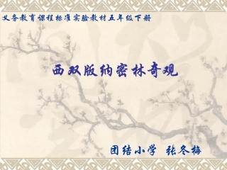西双版纳密林奇观课件