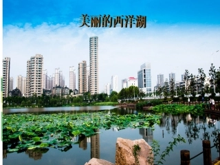 美丽的西洋湖苟雨馨