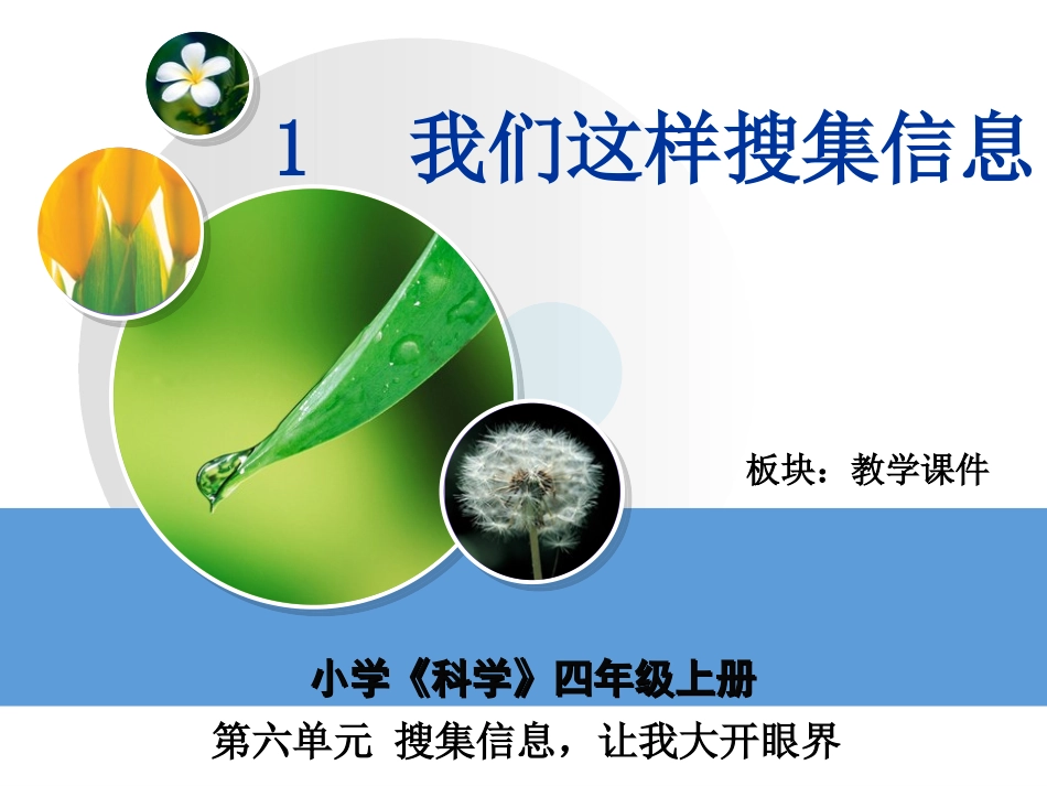 我们这样搜集信息教学_第2页