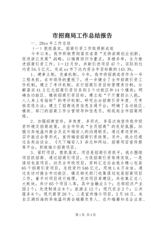 市招商局工作总结报告 
