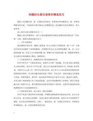 问题回头看自查报告精选范文 