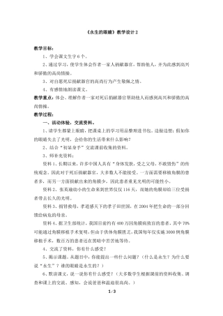 《永生的眼睛》教学设计2