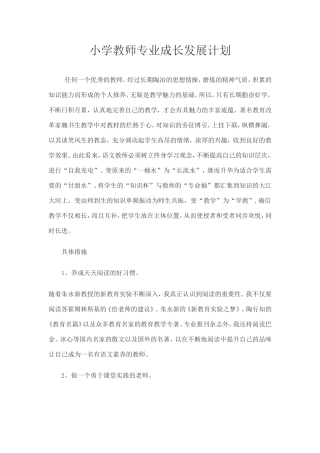 小学教师专业成长发展计划