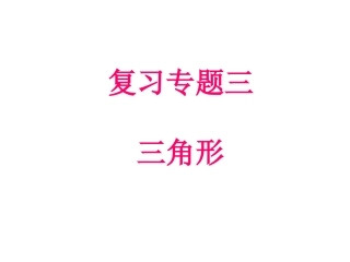 三角形专题复习