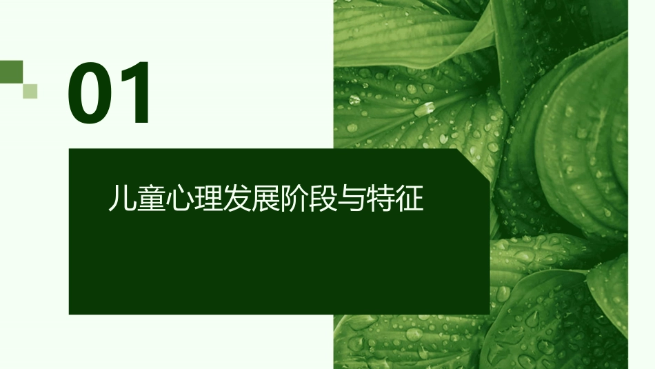 儿童心理学与成长教育护理课件_第3页
