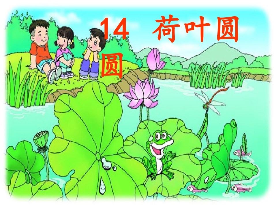 荷叶圆圆第二课时_第1页