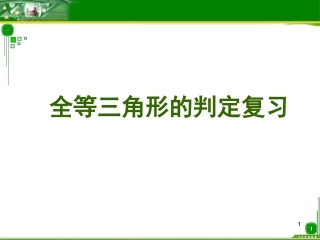 全等三角形的判定(总复习)