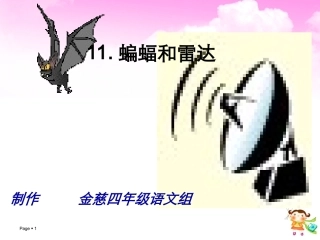 蝙蝠和雷达课件课件