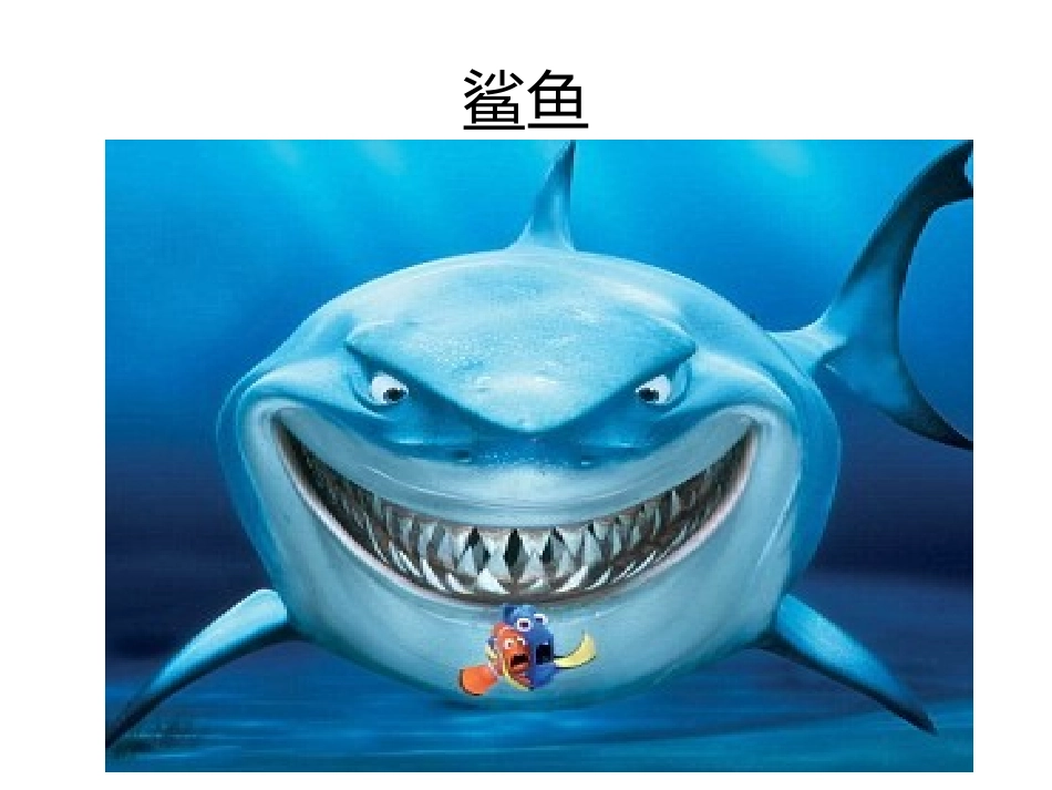 捉小鱼幻灯片_第3页