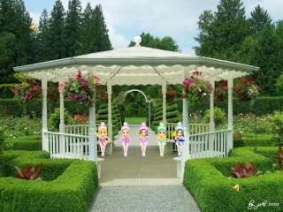 国运兴衰动我心