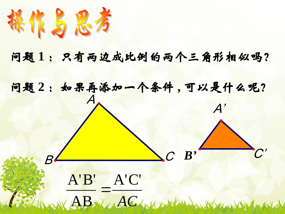 探索三角形相似的条件（3）_第3页