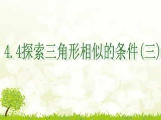 探索三角形相似的条件（3）