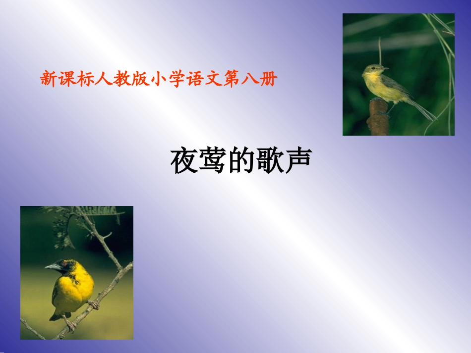 人教版小学语文四年级下册《夜莺的歌声》课件 (2)_第1页