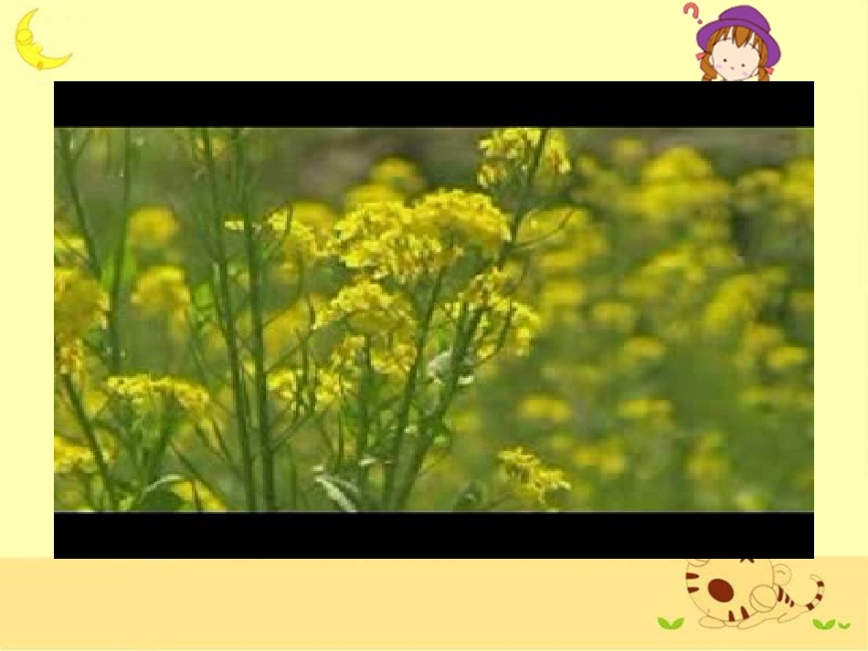 《从身边的小事做起》课件__第2页