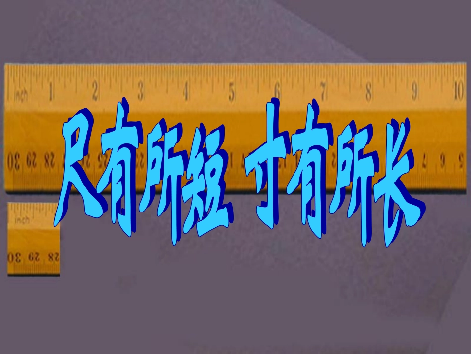 《尺有所长_寸有所短》教学课件_第2页