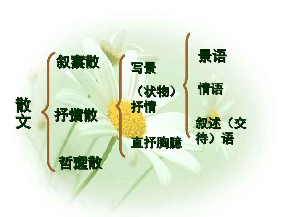 中考散文阅读方法指导课件_第3页