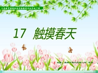 触摸春天4-17