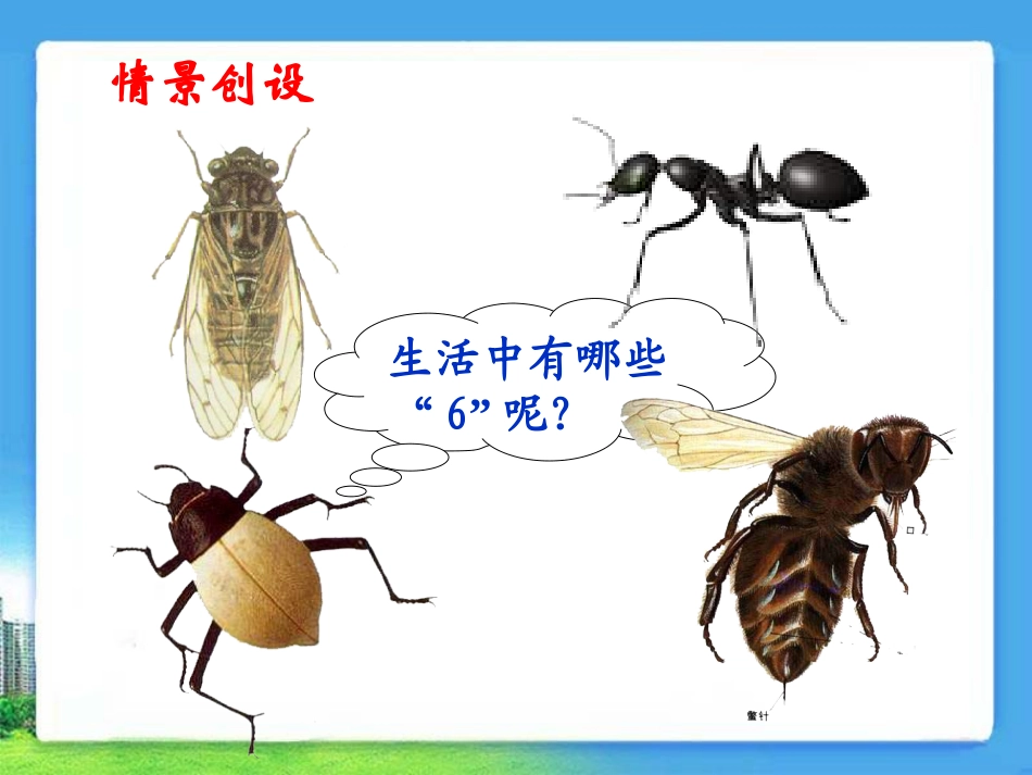《6的乘法口诀》演示课件_第3页