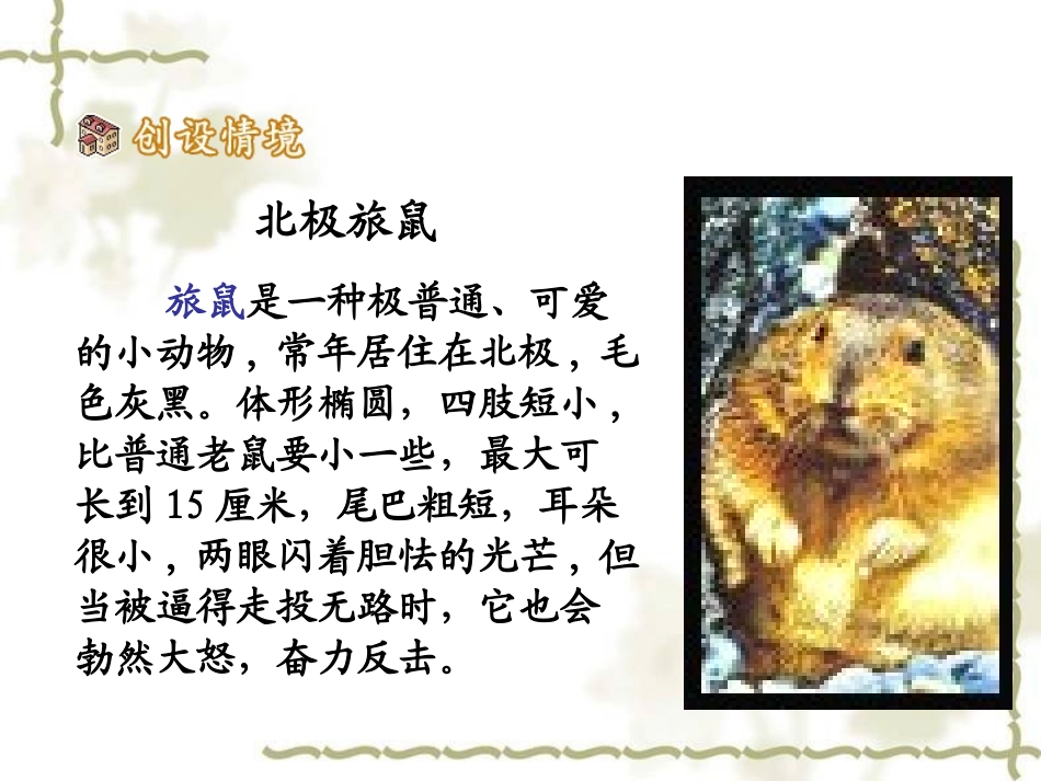 旅鼠之谜课件_第3页