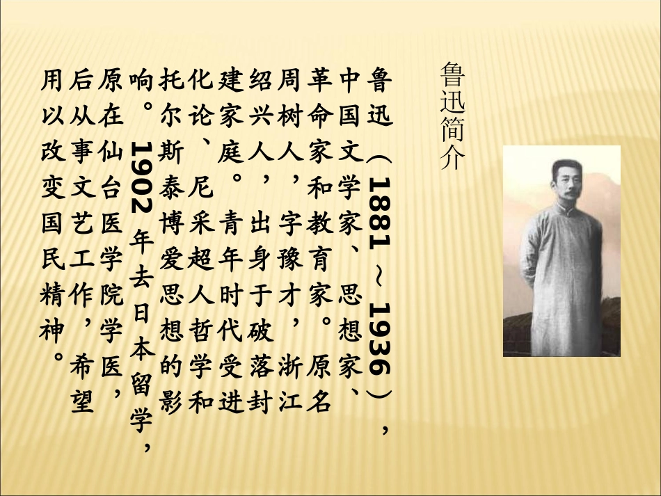 2010人教版语文必修三《祝福》课件_第2页