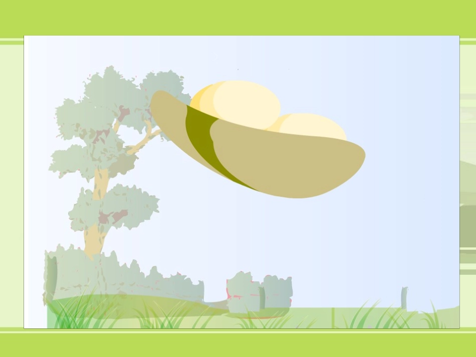 两只鸟蛋 课件_第3页