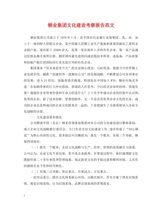 铜业集团文化建设考察报告范文 